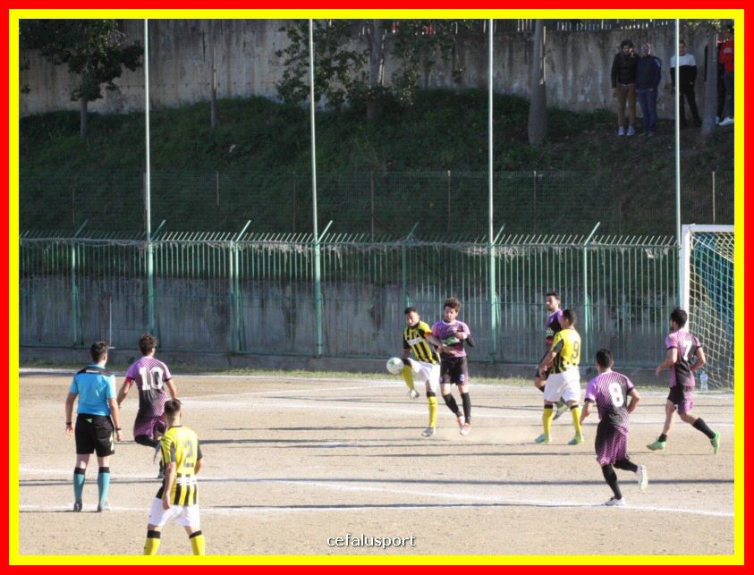 190310 Cephal_Torrenov 136_tn.jpg